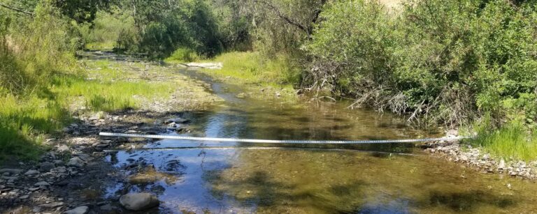 Ecologically Critical Creek Flows in San Luis Obispo County