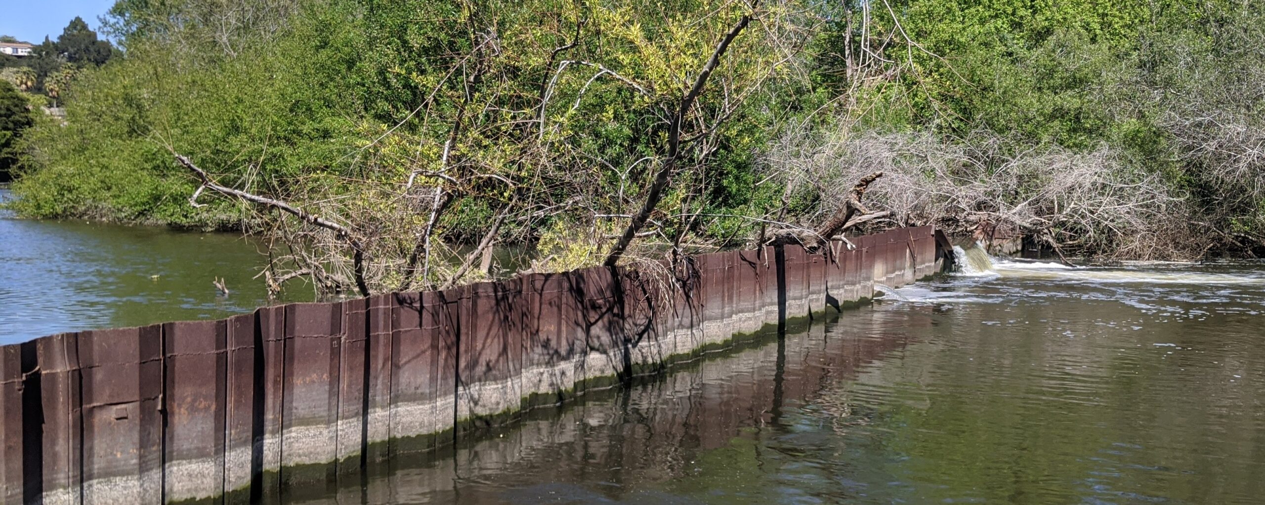 Lower SLO Creek Fish Passage – Marre Weir