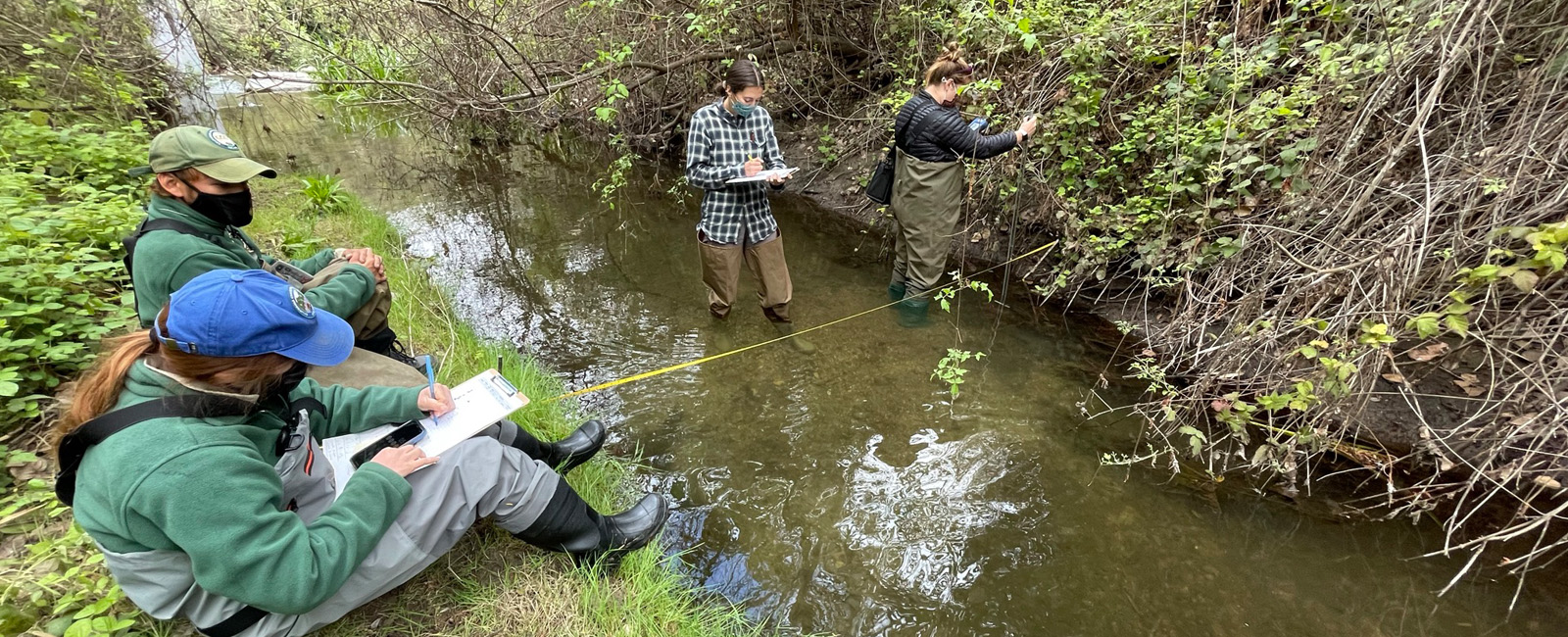Read more about the article Arroyo Grande Creek – Invasive Species Removal