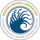 bodega-marine-laboratory-us-davis